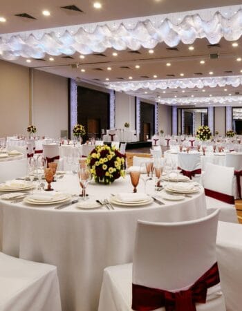 imgi_129_mhpmc-ballroom-0058-hor-clsc